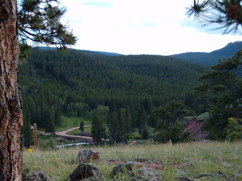 Property photo 16 - Get Lost in the Pristine Northern Colorado Rockies - Prime Building Sites